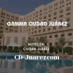 imagen de Gamma Ciudad Juárez en cd juarez