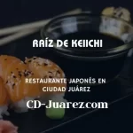 imagen de Raíz de Keiichi en cd juarez