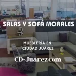 imagen Salas y sofá morales